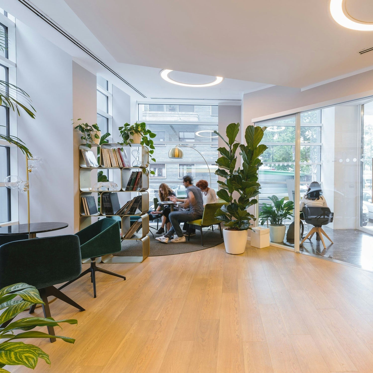 Office - LumoTrot