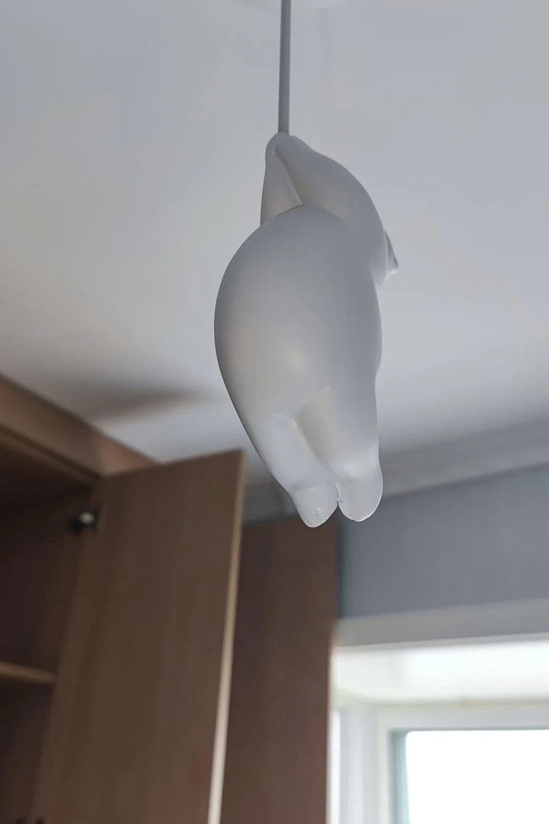 Acrylic Globe Ceiling Light — Whimsical Wonderland Glow