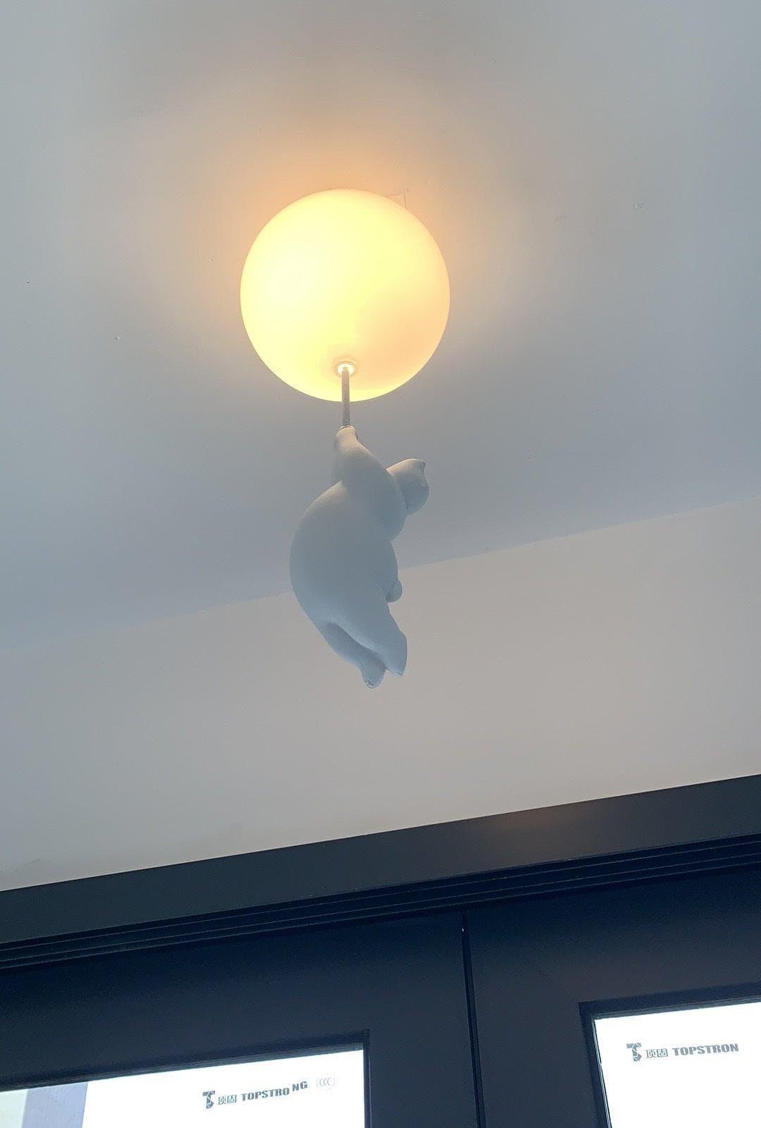 Acrylic Globe Ceiling Light — Whimsical Wonderland Glow