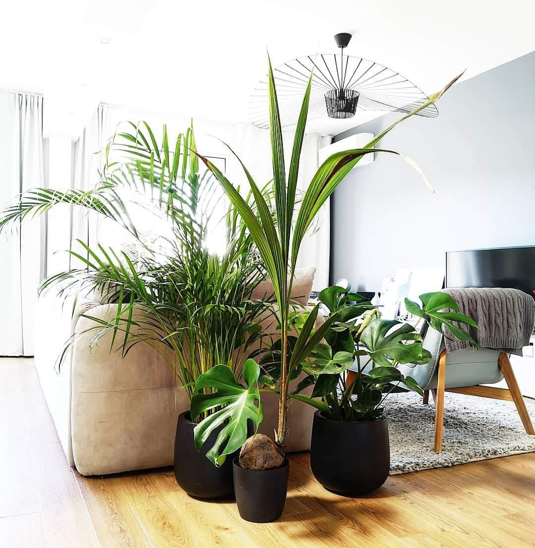Metal Wire Pendant Light — Modern Organic Ambiance